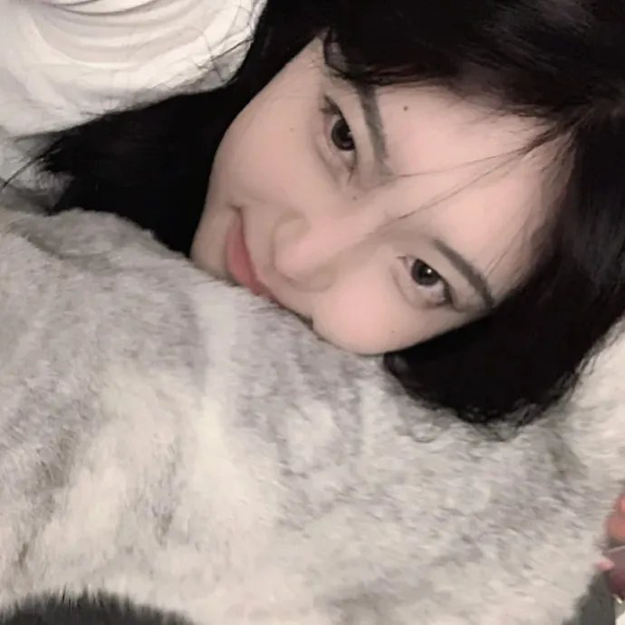 反对夫人哈德利之战