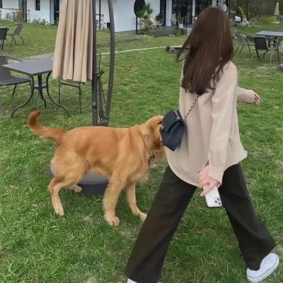 边境威龙